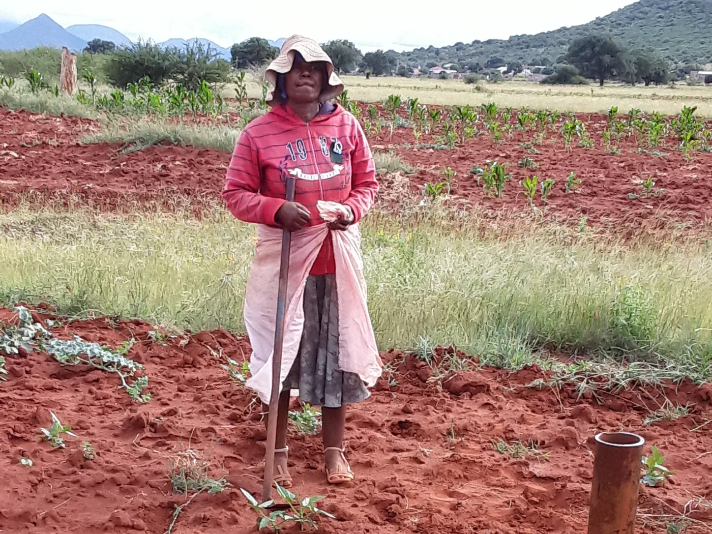 A smallholder farmer working her field in red soil near the Greater Kruger